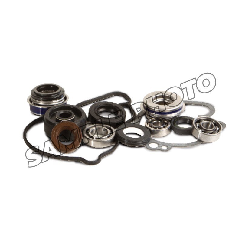 HDS Water Pump Kit