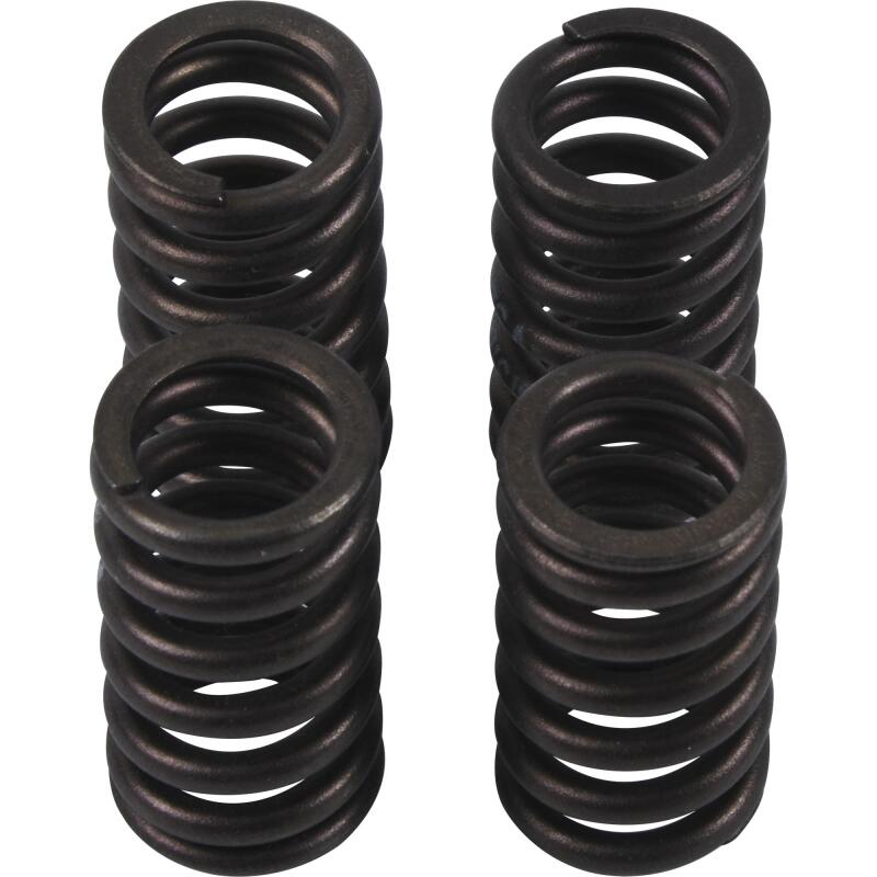 HOC Valve Spring Kits