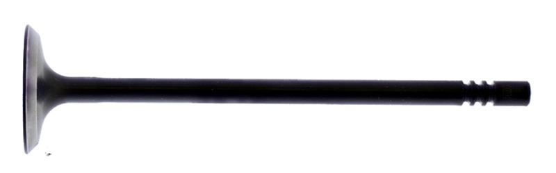 HOC Exhaust Valve