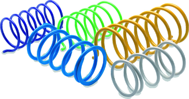 EPI Clutch Springs