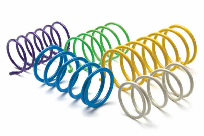 EPI Clutch Springs