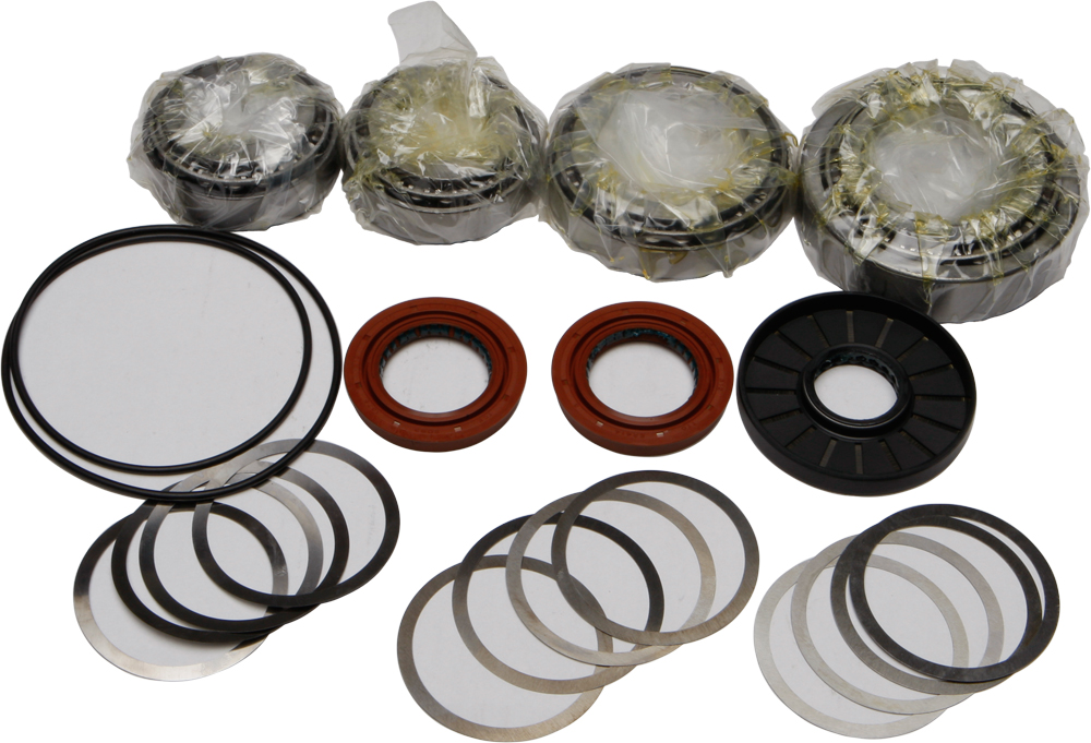 DIFFERENTIAL BEARING AND SEAL KIT
